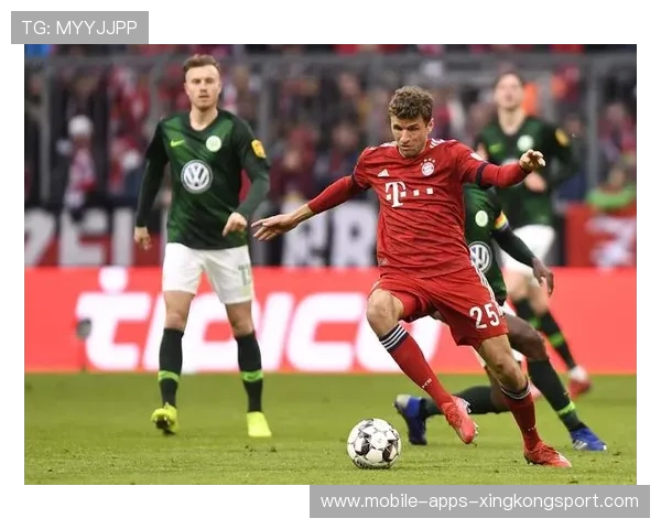 不莱梅爆冷击败霍芬海姆,不莱梅哈芬是哪个国家 不莱梅爆冷击败霍芬海姆,不莱梅哈芬是哪个国家